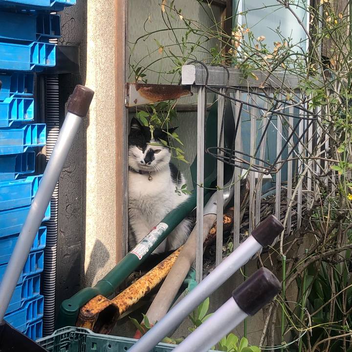 8ea6bc21 4df5 49f0 bbd4 f7b20ba8e1ec 1647724945121