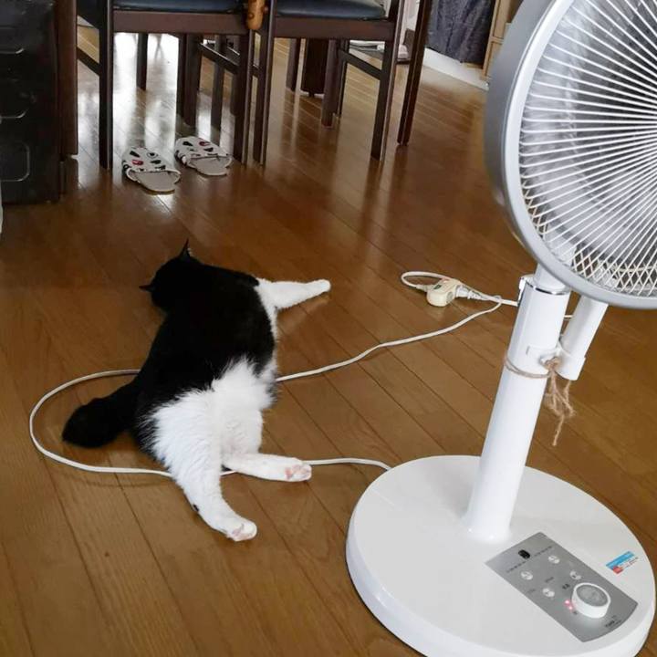 8ea6d1ad b5f5 466a a305 691dc2736ccf 1625543370346