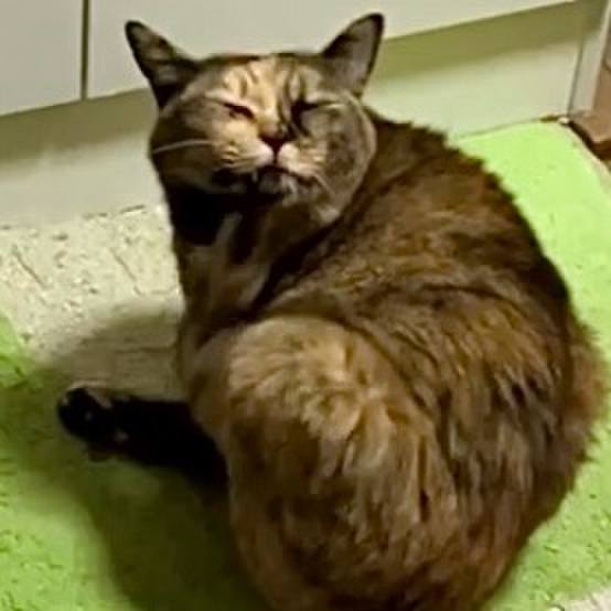 8ea704f7 6b43 4878 8476 75d02e4691e5 1732700602610