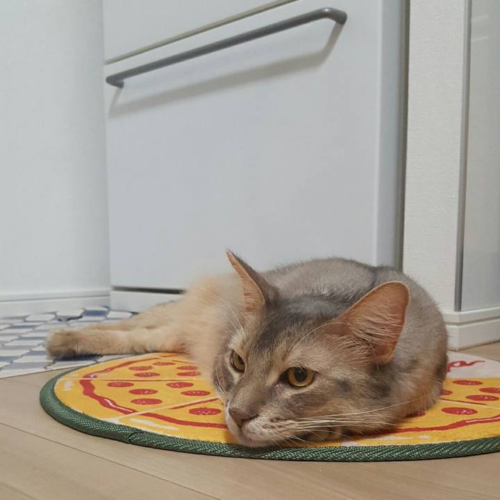 8ea71398 8651 45f7 9ae1 fc55c12de8cb 1537580024553