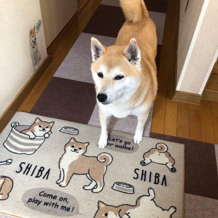 8ea71e4a 4257 4331 bdef 61b3c1875fc2 1596113905458