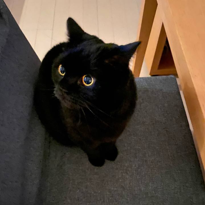 8ea74030 e1ce 46ec b129 108a6a18e127 1766492528465