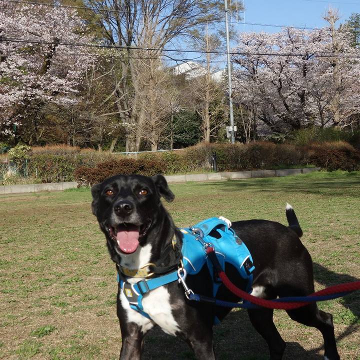 8ea75919 6465 40a7 a7ac cb841fb98fca 1616726104607