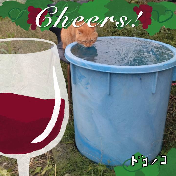 8ea759ae ba19 441d b6c5 1c3c68a73839 1761114093072