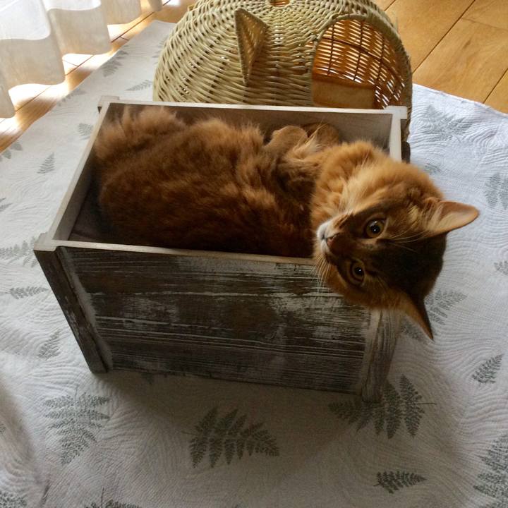 8ea79117 6b83 44dc 819f e9b9a80b9fbc 1618623426999