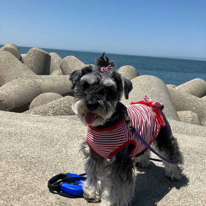 8ea7af2e 6e01 4166 9904 eb5b557c73d5 1714832392051