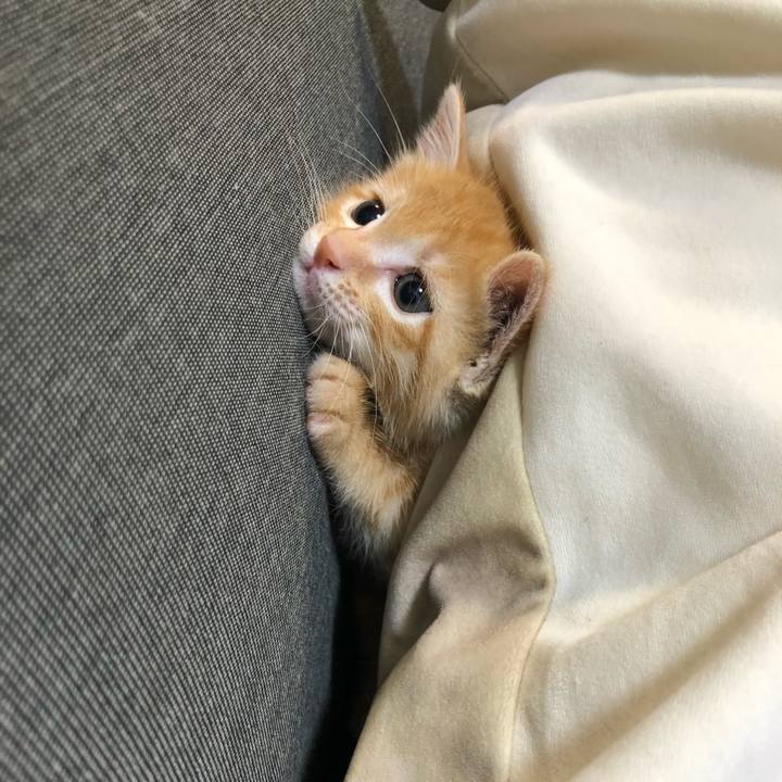 8ea7bbc1 19c4 44d7 bc70 9732fcf0e0f7 1561025887657