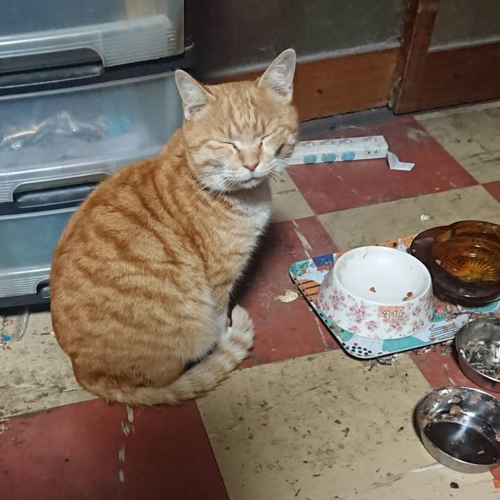 8ea7d38e 1e35 4247 b0e1 9e331a8f37b7 1582316882802