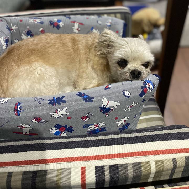 8ea7f30d 12b2 4192 a9be cd4fa4d07b71 1674902095299