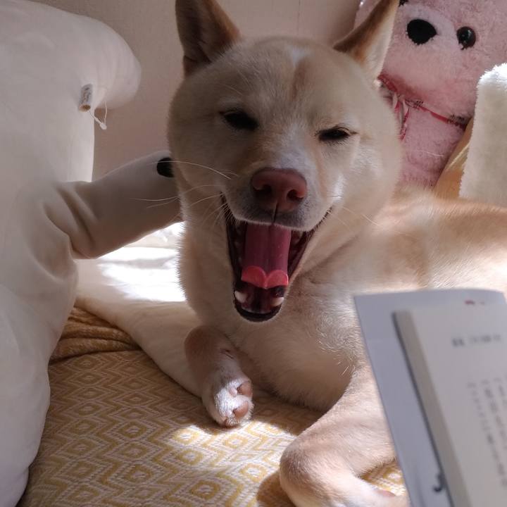 8ea8196a 8cef 49c4 976f f87d6d6d59b5 1554724109413