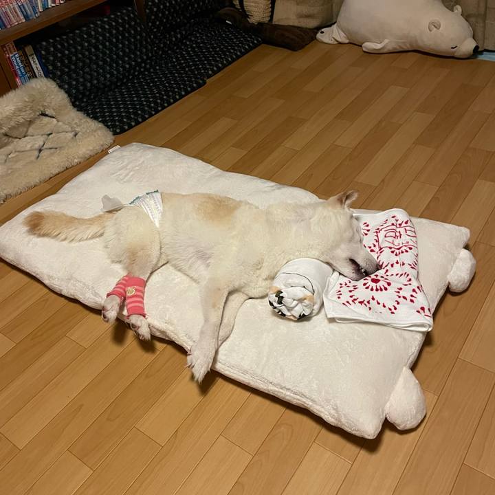 8ea88025 5326 400d 9b1c a6918d81735b 1662818510874