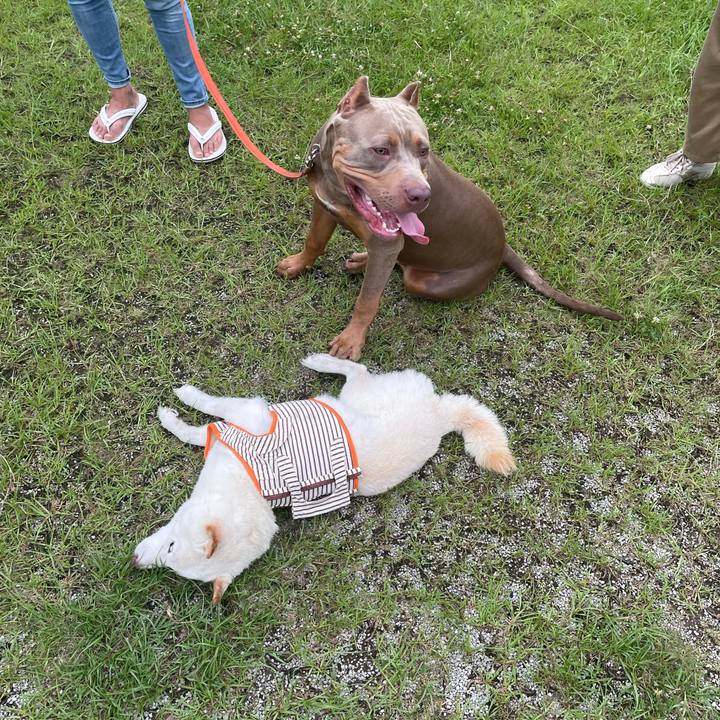 8ea8b8e1 9861 4dcc 9af5 98f2daff7f2d 1657206200638