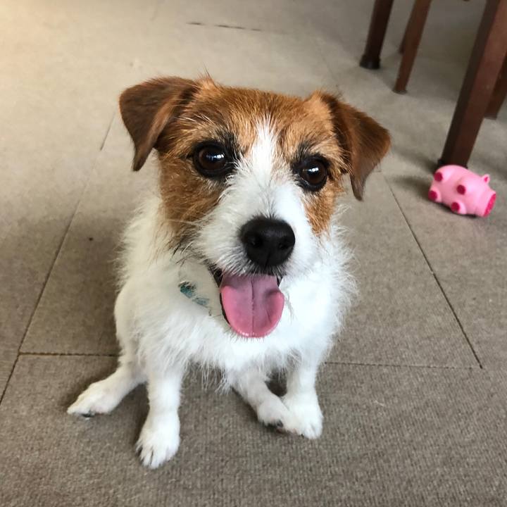 8ea8cd70 1261 492e b85f 1bae1482041c 1543533037090