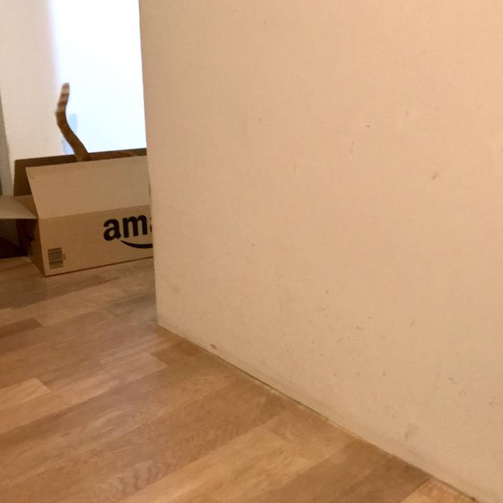 8ea8f61e a585 4aec 9687 d3425d836573 1620220870082