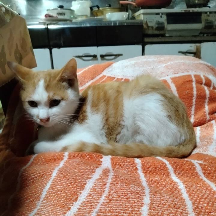 8ea9025e a629 49bc adec 90a27ce59130 1732694723673