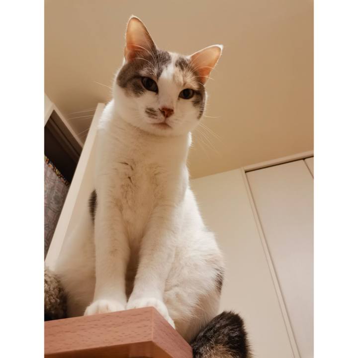 8ea91c74 c187 485e 907a a512f4321b71 1640145989930