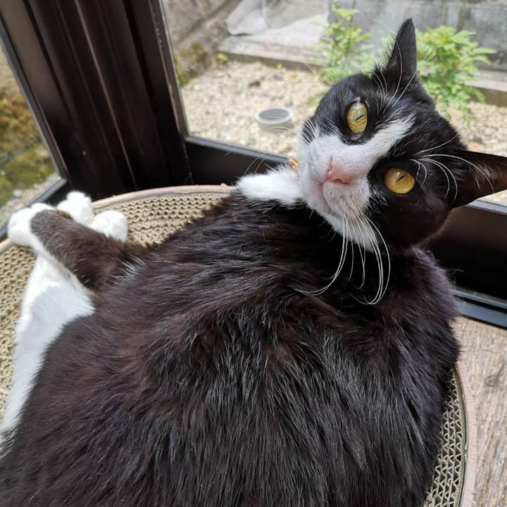 8ea93628 bcf4 4b68 b798 6f384632790d 1654660430576