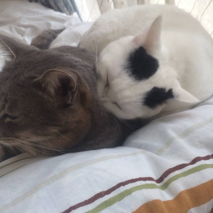 8ea956a4 f580 4899 938c bda70c4cb572 1514815955212