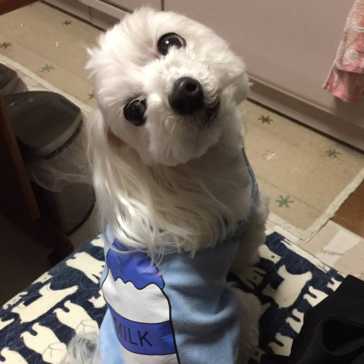 8ea96ce1 6ee7 4898 a429 24ee36092cde 1551787869818