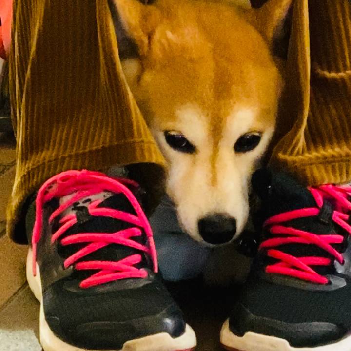 8ea97ea7 4cc7 4486 99f6 0f3355ffbbb6 1574696751111