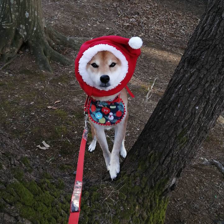 8ea99329 b10b 4307 a658 4f65a75e3feb 1639880616534