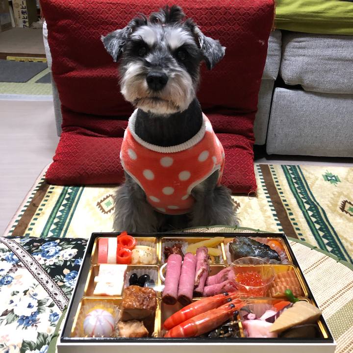 8ea9edda 2965 4983 8278 3c3b5ea9526b 1641036346093