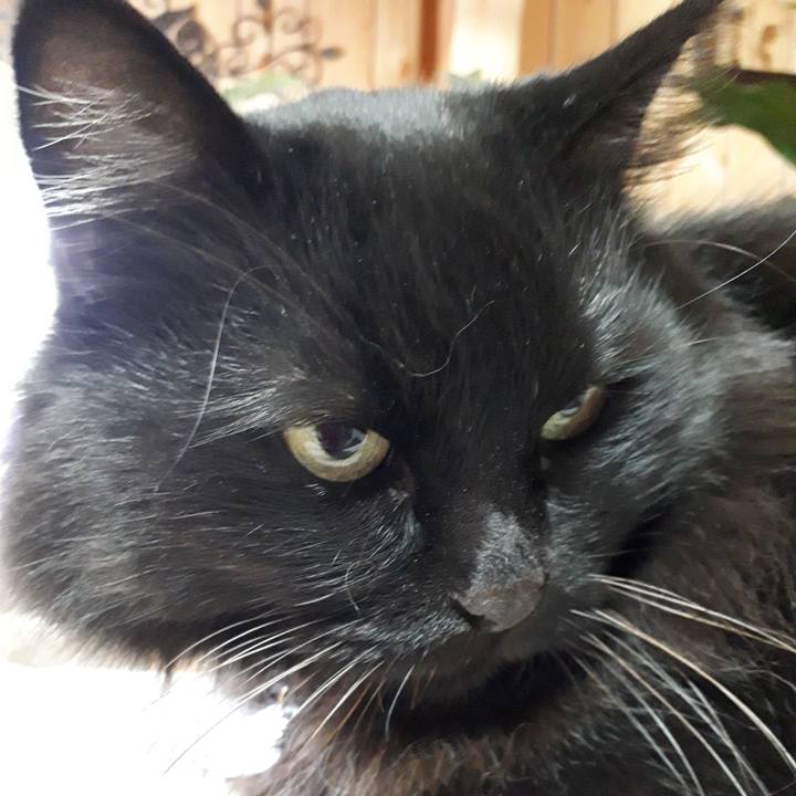 8eaa18ff 63e8 4451 8760 8a6676221f50 1518898089393