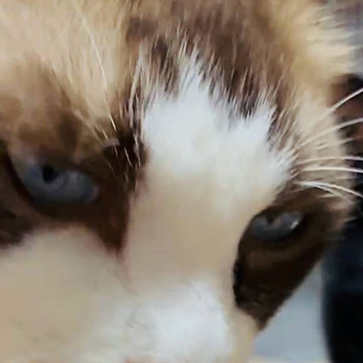 8eaa27d8 76b0 47ca a780 023a8533443b 1758537657241