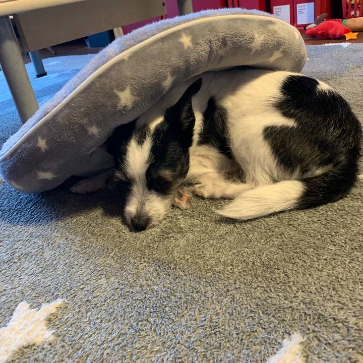 8eaa2e2f 0c15 4a59 805e 7e98cef39e54 1607822581664