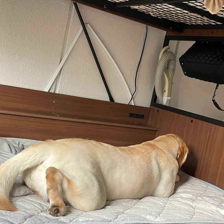 8eaa32ea 0482 415b 9a62 c83365bf8f19 1654740279000