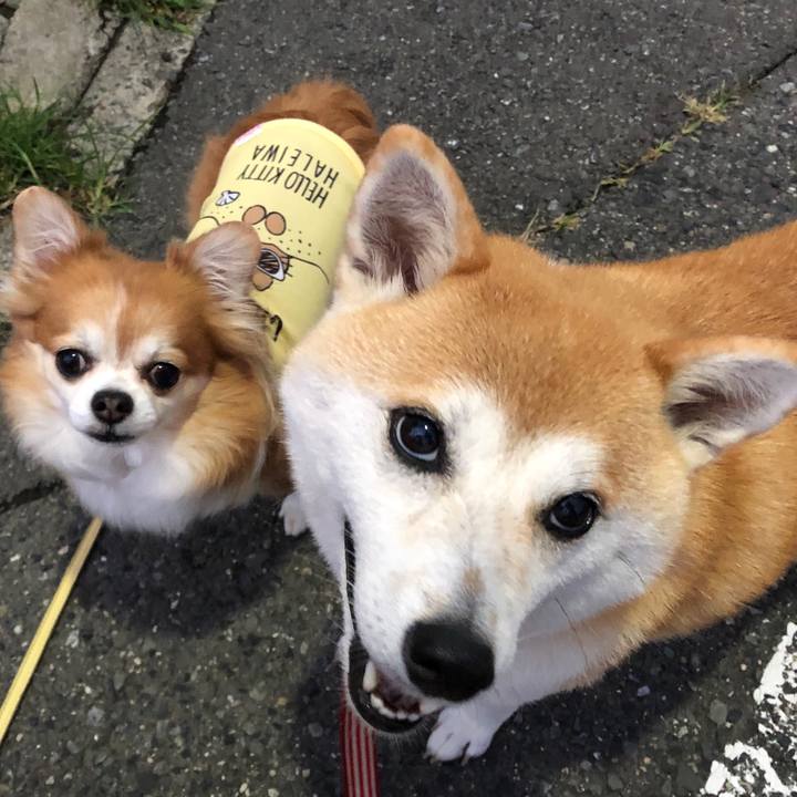 8eaa3818 649a 41a4 ab52 a916c61e090d 1568370285068