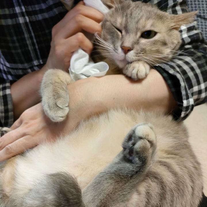 8eaa41b9 dc8c 4372 906c f093d30e99f3 1666584061782