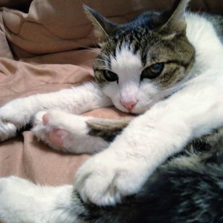 8eaa709a ee58 4676 91f1 8ca06a4f7ad5 1517138561371