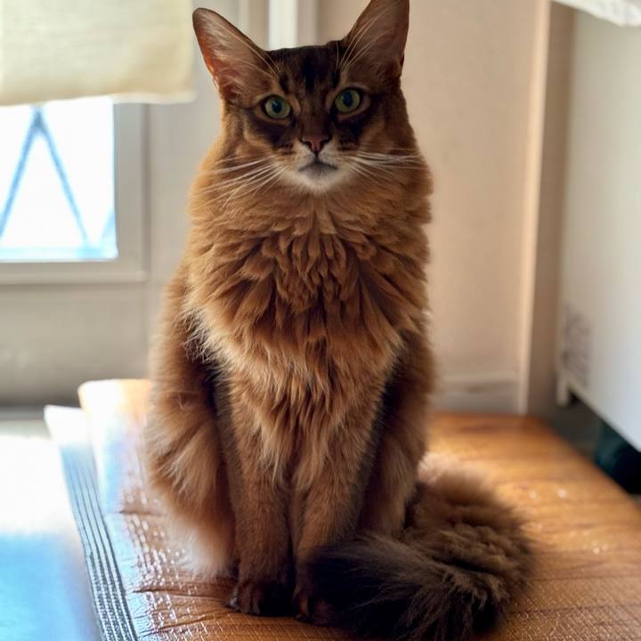 8eaa7256 ec49 46db a52d 950a6f990278 1755498949850