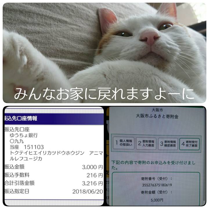 8eaa8328 93a0 416c b201 34b1f5a55e2f 1529477583105