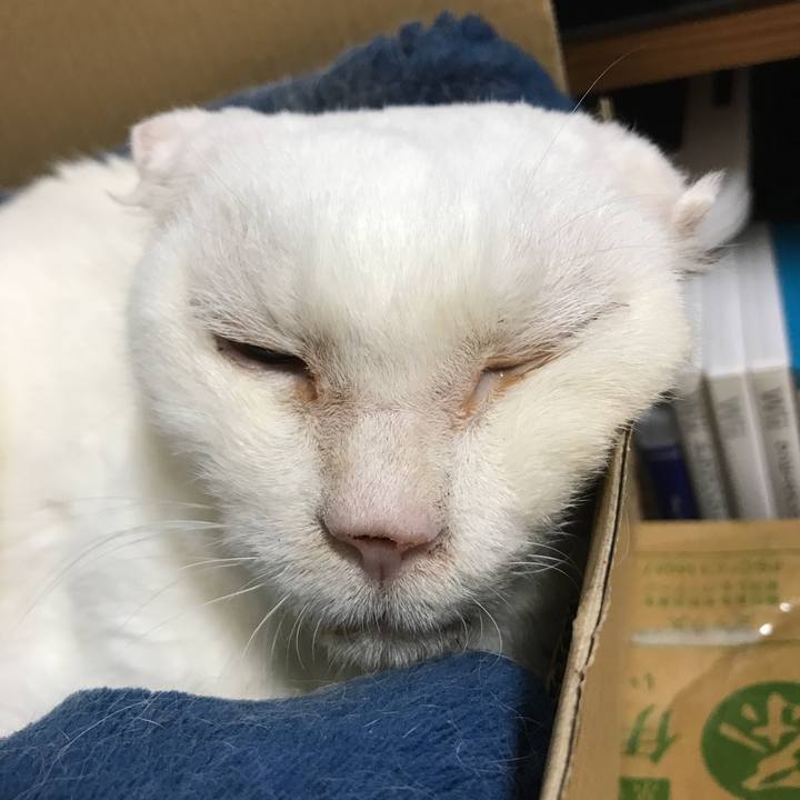 8eaa8da7 5fe1 4e1e ae56 5c2a543fe86b 1539615706463