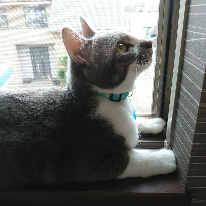 8eaa920f c619 4411 b58e 3e74d91907d8 1593900551849