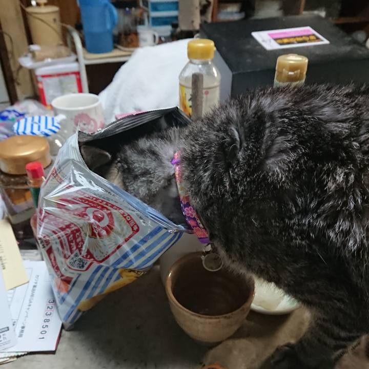 8eaaa996 649f 4a02 a1a8 930036e8591d 1578474334263