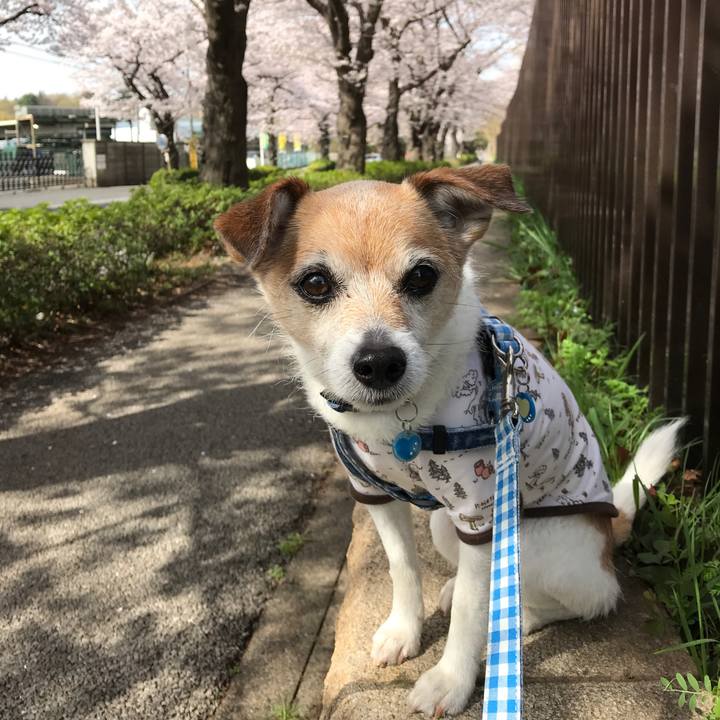 8eaab27f 432f 454e bc59 143c2578101b 1648697327262