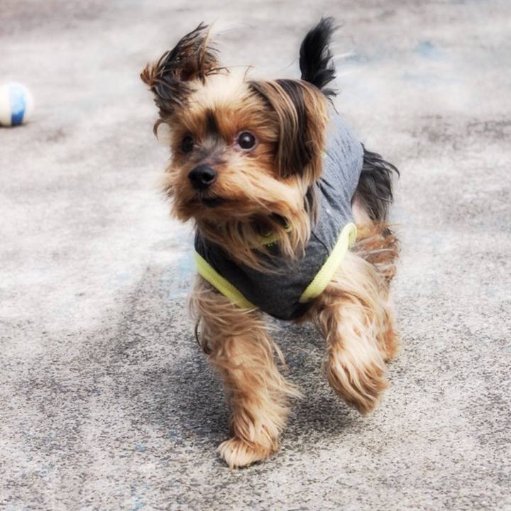 8eaacb8b 0c00 4ee6 972b 217d61b01be2 1520142521218