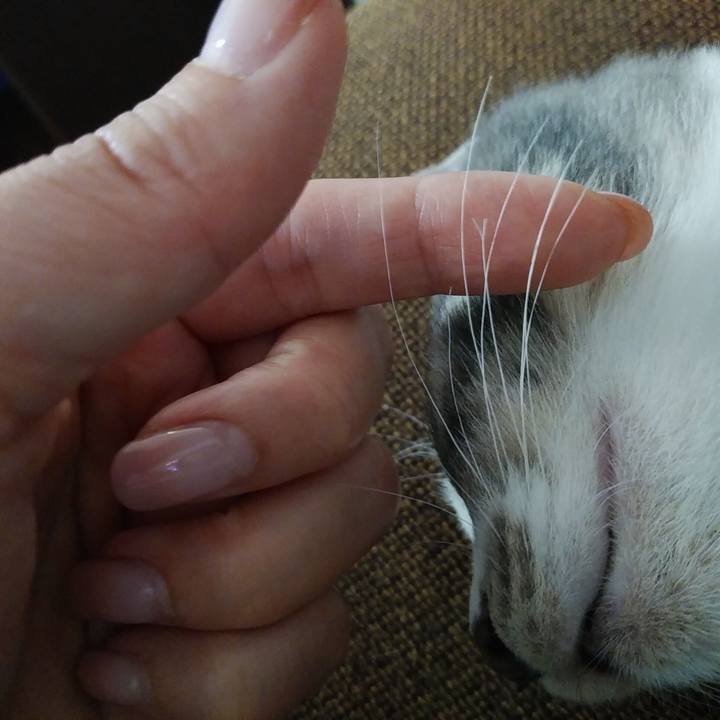 8eaad689 a412 4c82 99f1 e9524aa8531a 1566718866750