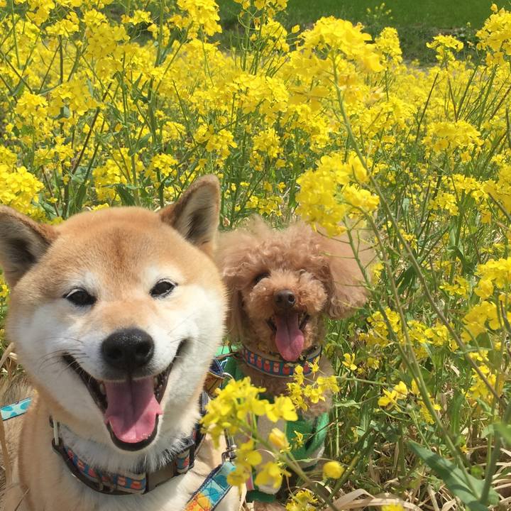 8eaaee89 70c8 42df bf40 dff9a7e91af0 1522125530398