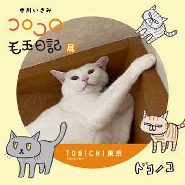 8eab027a 6dc5 4350 9462 54970eb951d1 1740221066927