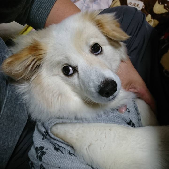 8eab8206 dbfa 4b1c 9617 5e95eb227684 1525774338947