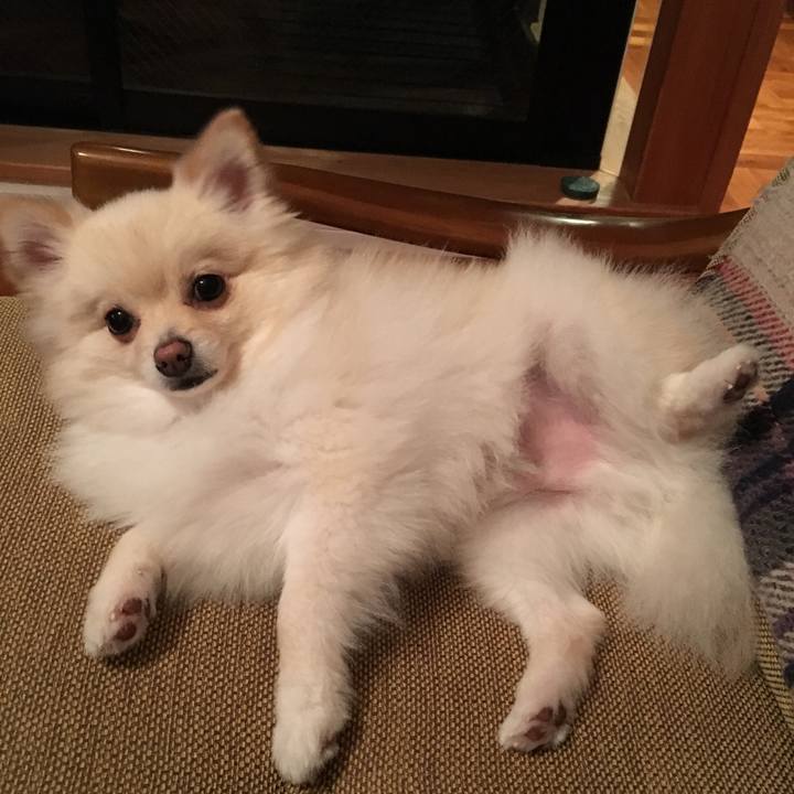 8eab930b 97d6 43aa 9a0c ff580dcc9e4b 1539780345617