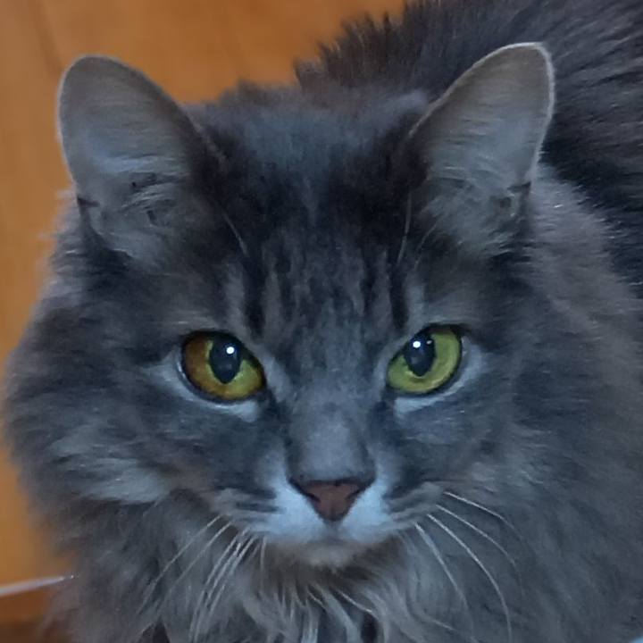 8eab9cf9 4f8f 4a57 a731 dd4a893c8e98 1639174832900