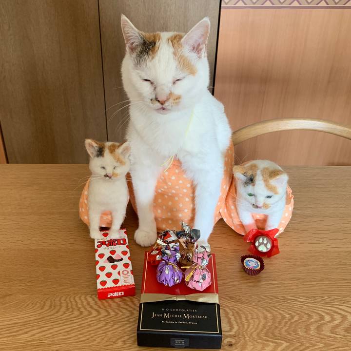 8eabb1a6 5936 4790 9df6 82642f2b1dc7 1550650434909