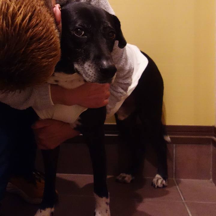 8eabb693 1a24 4b51 9c60 c7f29b050e9c 1734864636870