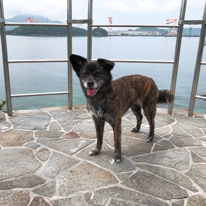 8eabb6b6 155d 4aea a3c1 9d403c0fbd73 1588561281940