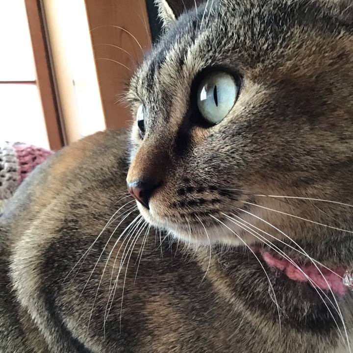 8eabbc48 5733 4d06 b60a 0ade9b1597ff 1615244728814